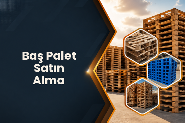 Baş Palet Satın Alma 